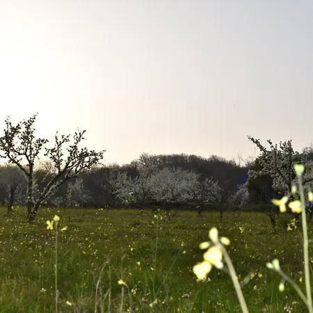 Casa vacanze Cr Familiar Primavera