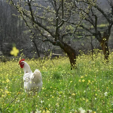 Casa vacanze Cr Familiar Primavera Jarandilla de la Vera