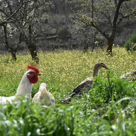 Casa vacanze Cr Familiar Primavera *