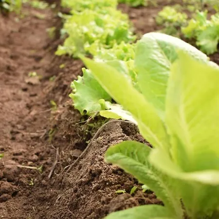 Casa vacanze Cr Familiar Primavera