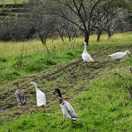 Cr Familiar Primavera Holiday home