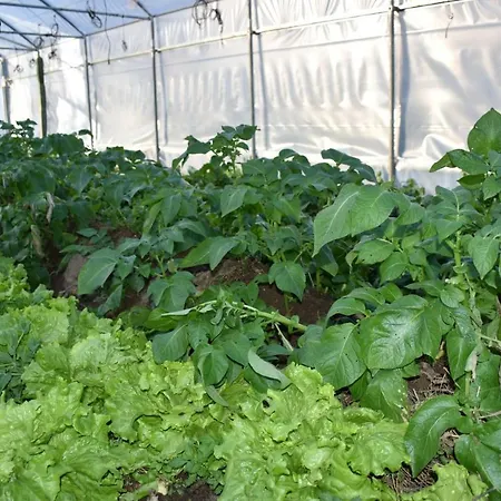 Casa vacanze Cr Familiar Primavera