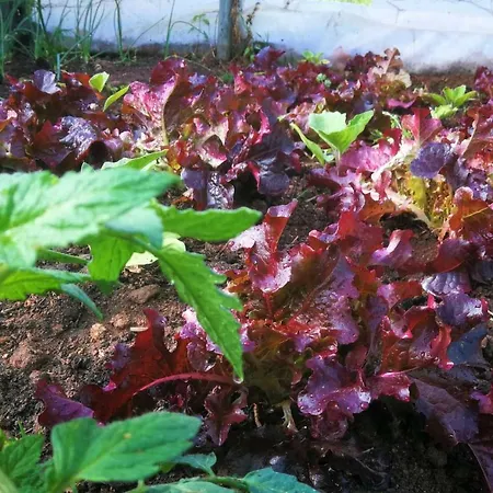 Cr Familiar Primavera Holiday home *