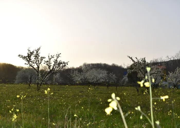 Дом отдыха Cr Familiar Primavera