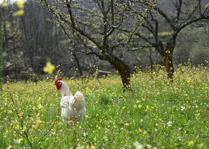 Дом отдыха Cr Familiar Primavera Харандилья-де-ла-Вера