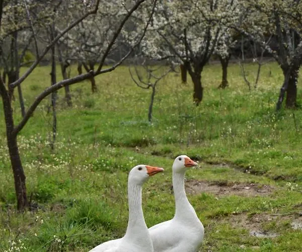 Дом отдыха Cr Familiar Primavera Харандилья-де-ла-Вера