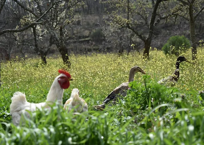 Дом отдыха Cr Familiar Primavera *