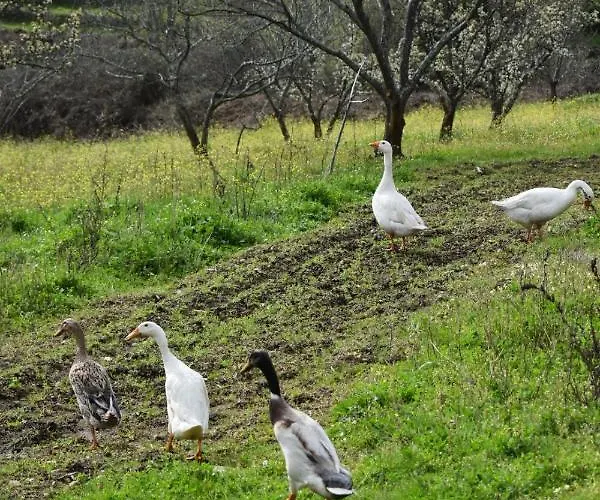 Cr Familiar Primavera Дом отдыха