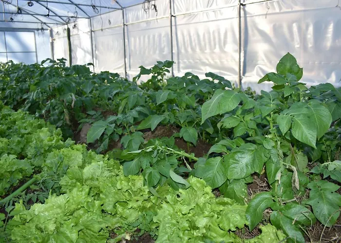 Дом отдыха Cr Familiar Primavera